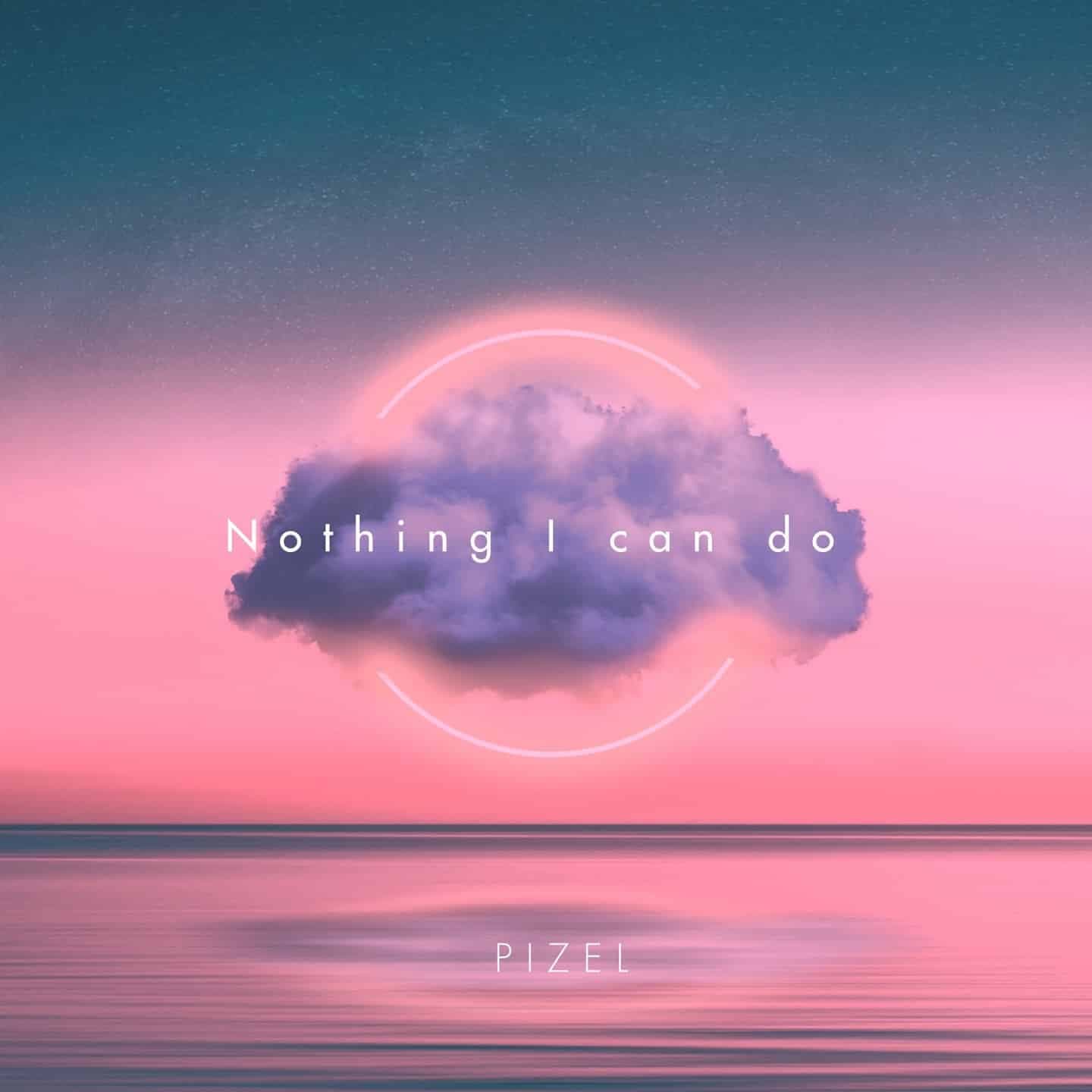 Cover: Nothing I Can Do, Pizel