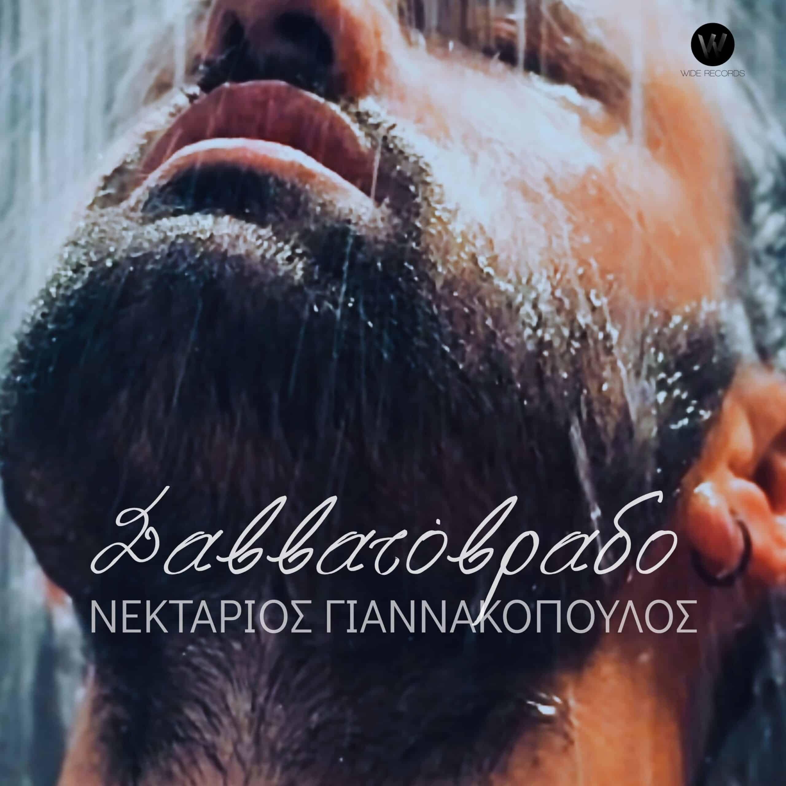 Cover: Σαββατόβραδο, Νεκτάριος Γιαννακόπουλος